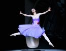 775084748da058 alice s adve