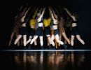 775241178da001 sydney dance