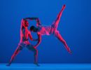 675936813da006 sydney dance